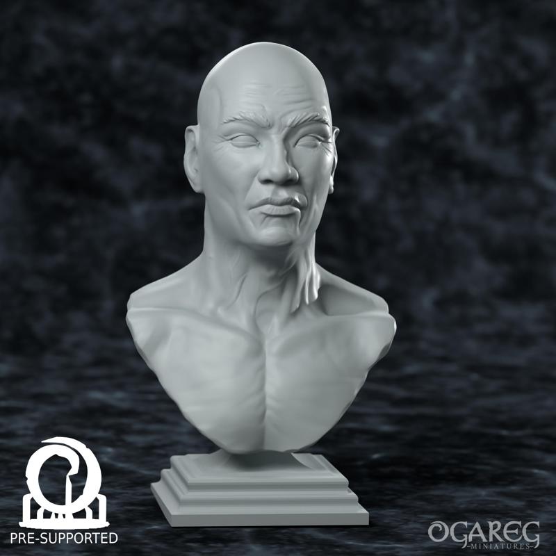 Academic Human Elder bust, presupported