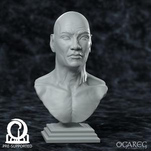 Academic Human Elder bust, presupported