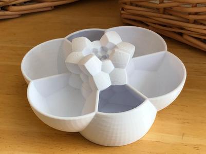 120-Cell Polychora Planter