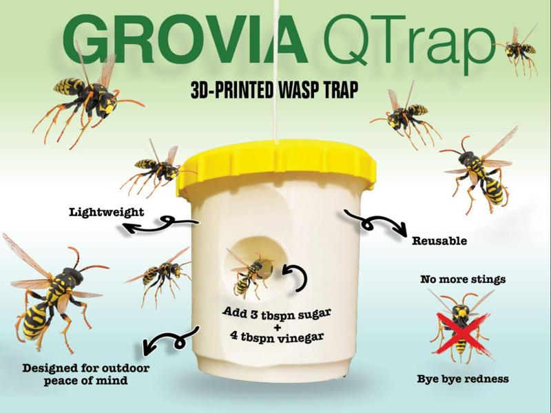 Grovia QTrap for Wasps