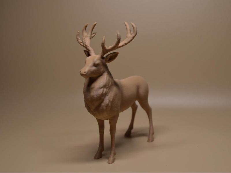 Majestic Stag