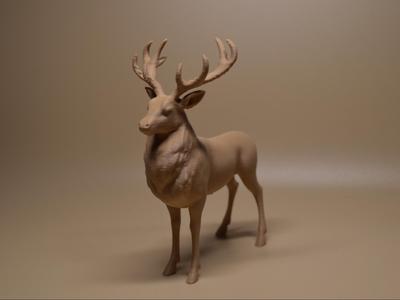 Majestic Stag