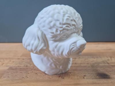 Bichon Frise Bust