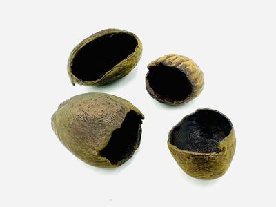 Jumping Spider Nuts / House