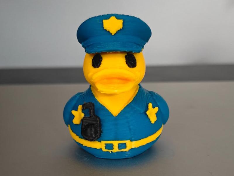 Police Duck