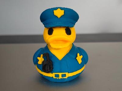 Police Duck