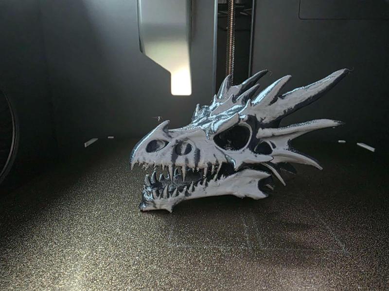 Dragon Head