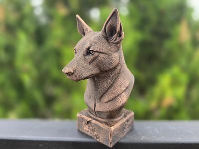 AUSTRALIAN KELPIE BUST