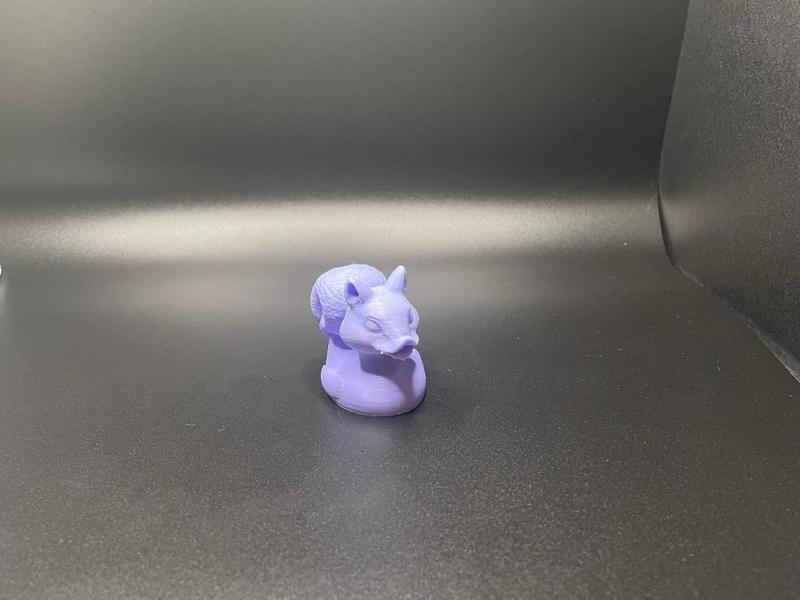 Squirrel Duck 