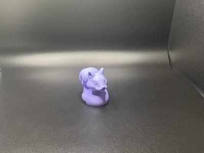 Squirrel Duck 