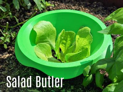 Salad Butler (Snail Protection)