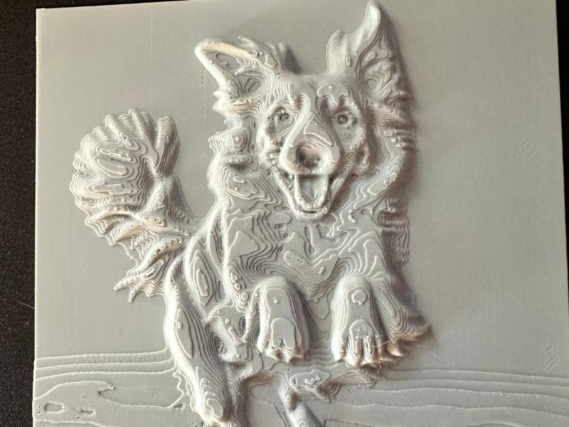 Border collie relief