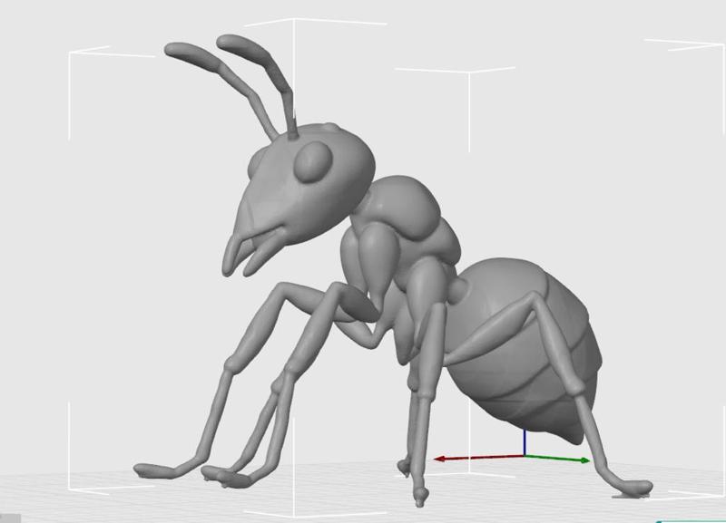 A cute ant
