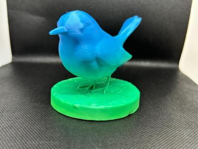 Robin