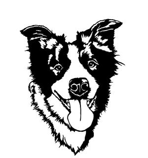 "Bala" the Border Collie wallart