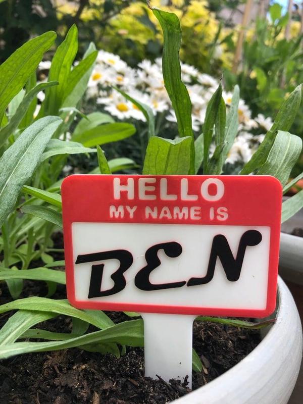 'Hello My Name Is' customisable plant name tag