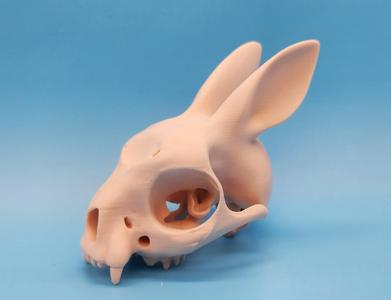 Bunny Skull - Ears Back
