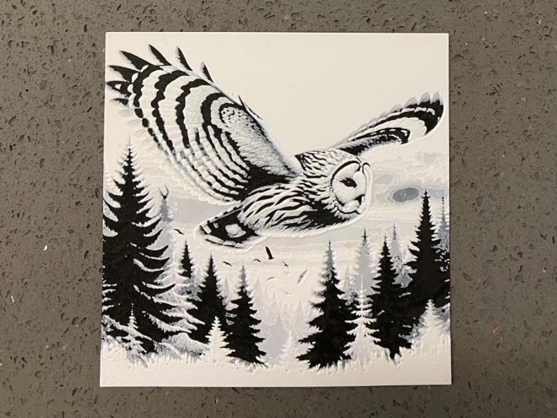 owl