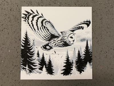 owl