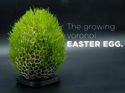 The growing voronoi easter egg