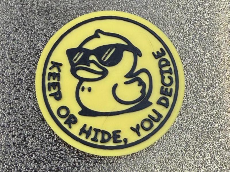 KEEP OR HIDE, YOU DECIDE COIN FOR CRUISING DUCKS