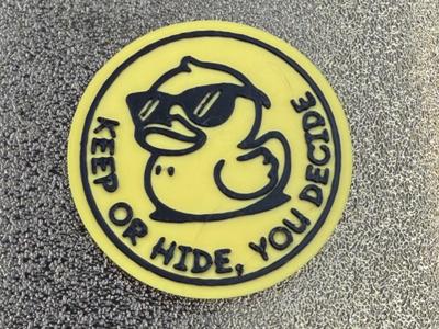 KEEP OR HIDE, YOU DECIDE COIN FOR CRUISING DUCKS