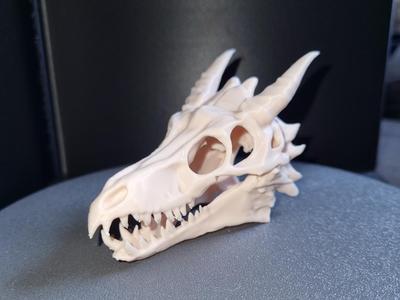 Dragon Skull