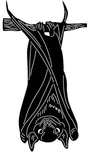 2D Bat 2