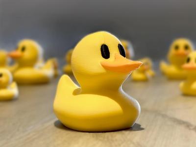 Lucky Ducks