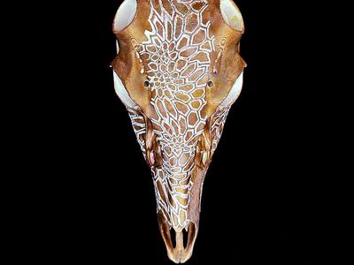 "Hex Camo" Deer Skull antler mount