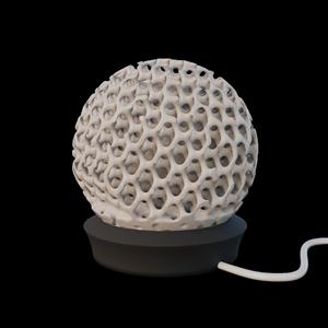 Coral Lamp for LED Lamp Kit 001