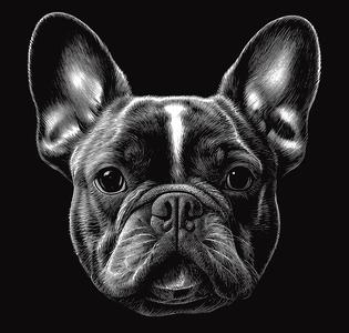Bulldog Black and White (Hueforge) | Wall Art Decoration Multicolor 3D Art Decoration with Dog 