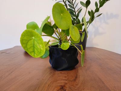 Organic Planter 9cm