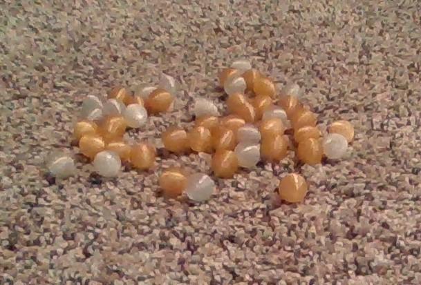 1/2 in Balls