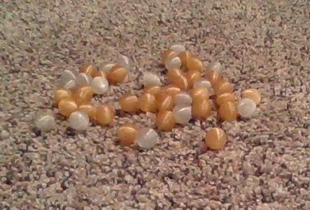 1/2 in Balls
