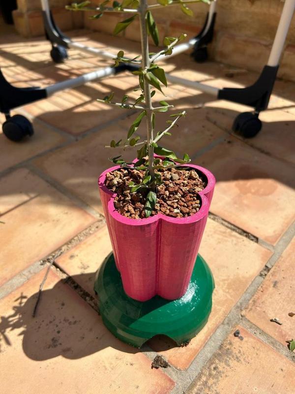 Flower pot, maceta con forma de flor