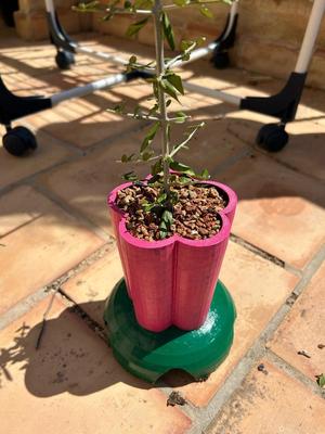 Flower pot, maceta con forma de flor