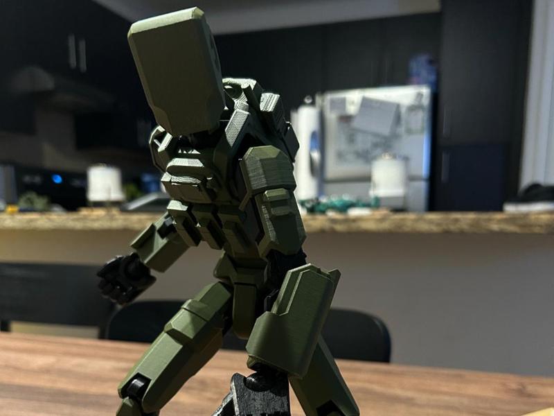 Dummy 13 Armor/Plate Carrier