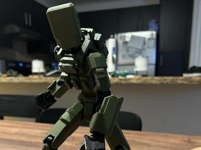 Dummy 13 Armor/Plate Carrier