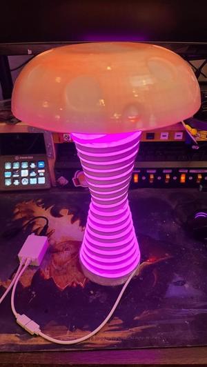 Mushroom Lamp