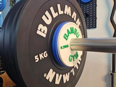 Micro increment olympic gym plate