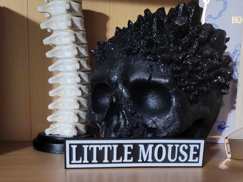 Bookshelf Sign - Little Mouse (Multi. Options)