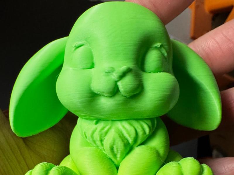 Cute Bunny