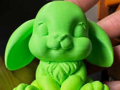 Cute Bunny