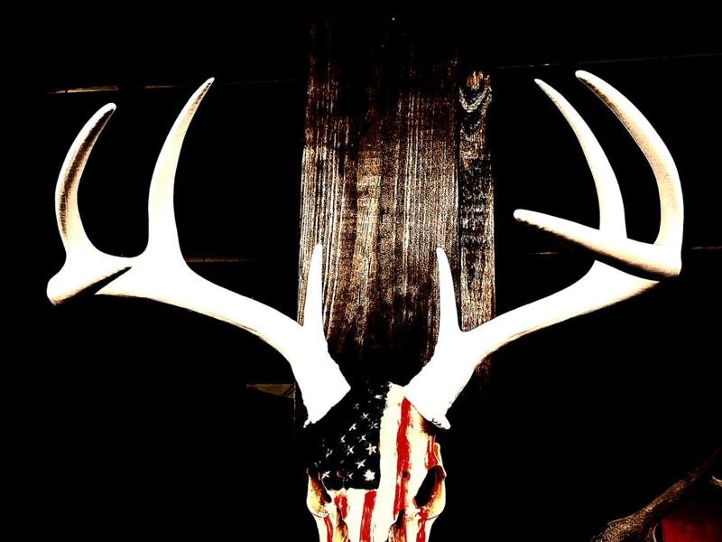 "Symmetry" Antler Set for Half and Full Skulls