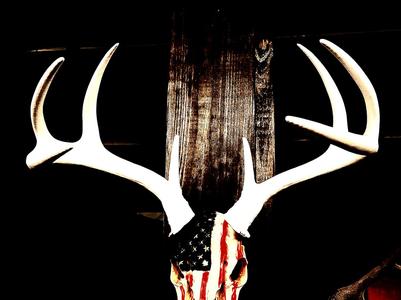 "Symmetry" Antler Set for Half and Full Skulls