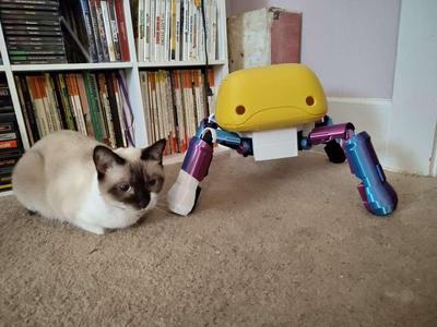 Flycatcher bot from Apocalypse Hotel - Life size