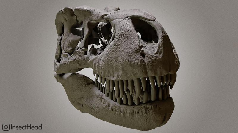 Realistic T-rex skull