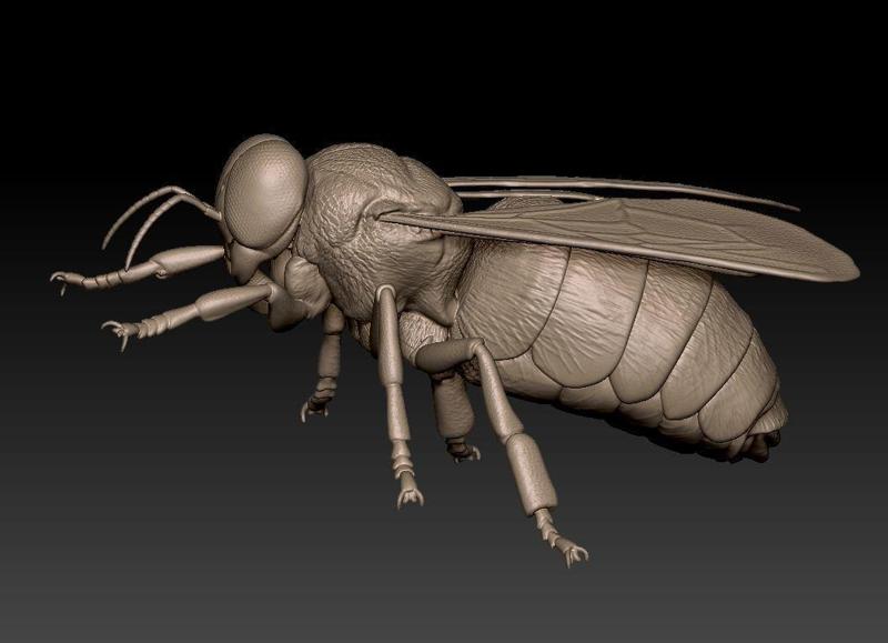 Drone bee