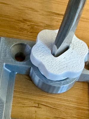 GOEWS Improved Slotted Screw   